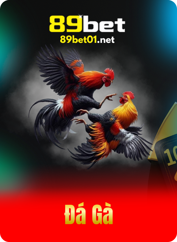 89bet01.net mô tả đá gà