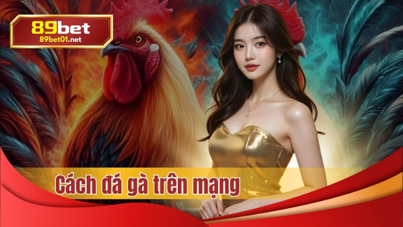 cách đá gà trên mạng