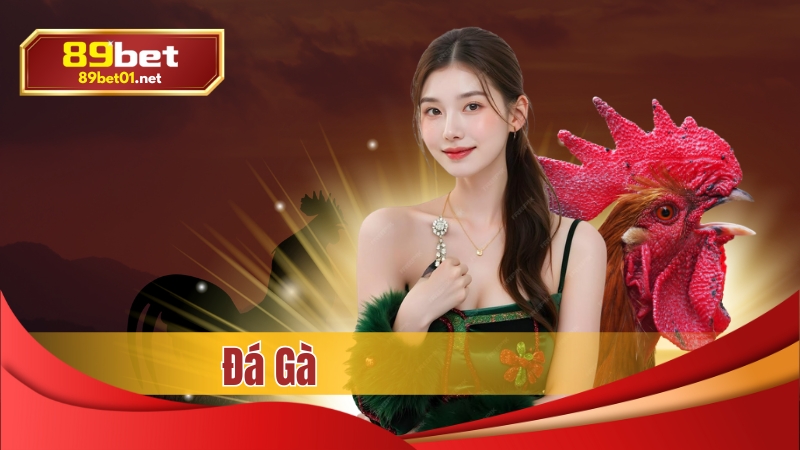 đá gà