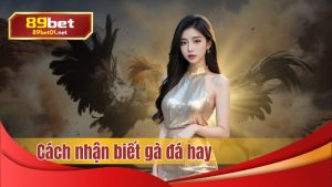 Cách nhận biết gà đá hay, hướng dẫn tại nhà cái 89bet uy tín