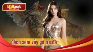 cách xem vảy gà đá - chiến kê bất bại trong tương lai