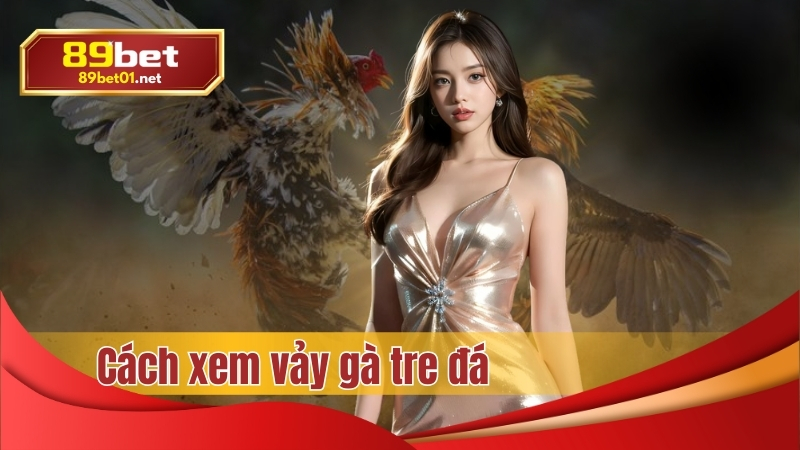 cách xem vảy gà đá - chiến kê bất bại trong tương lai