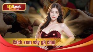 Hướng dẫn cách xem vảy gà chọi, những lựa chọn thần chọi ngay từ đầu.