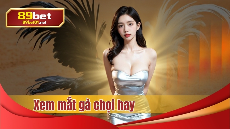 Cách Xem Mắt Gà Chọi Hay Chuẩn Từ Sư Kê Làng Gà