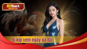 bí kíp xem ngày gà đá hay tại 89bet