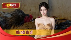 89bet giải thích giống gà nòi là gì
