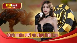 89bet hướng dẫn cách nhận biết gà chọi Thái Lan