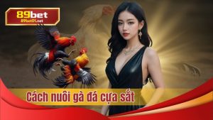 Cách nuôi gà đá cựa sắt, hướng dẫn chi tiết từ 89bet