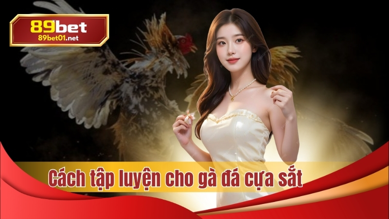 89bet hướng dẫn cách tập luyện cho gà đá cựa sắt