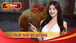 89bet hướng dẫn kỹ thuật nuôi gà Serama
