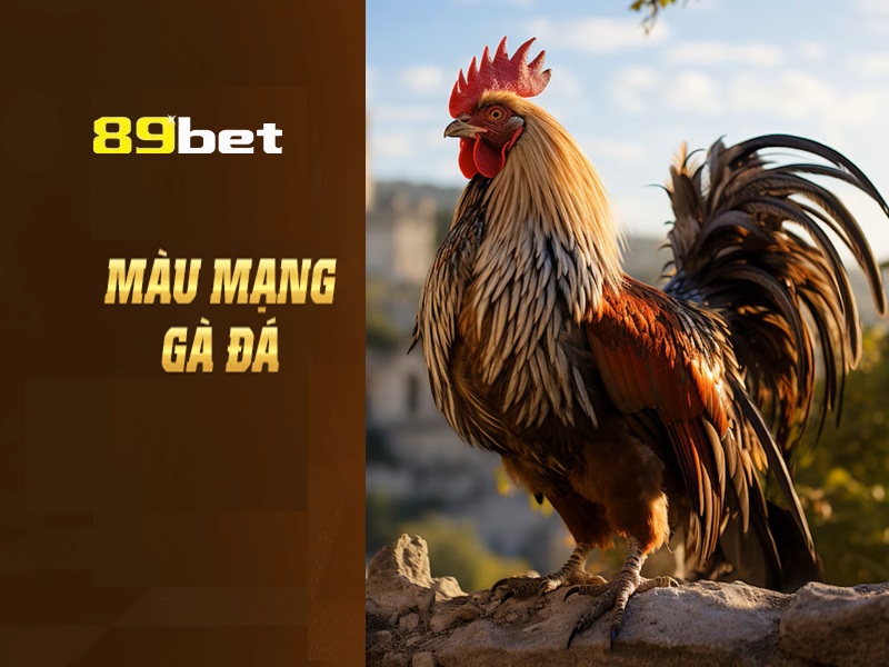 Cách xem màu mạng gà đá cựa sắt 89bet