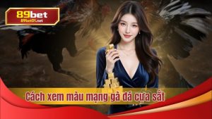 Trang chủ 89bet hướng dẫn cách xem màu mạng gà đá cựa sắt