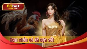 Xem chân gà đá cựa sắt tại 89bet